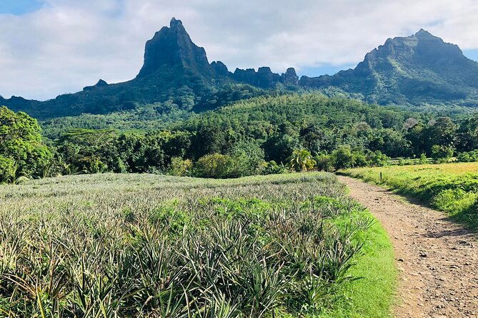 Guided Excursion in 4x4 in Moorea between Land and Sea - Duration and Overall Value