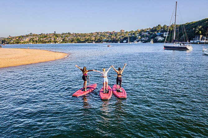 Guided Step-Up Paddle Board Tour of Narrabeen Lagoon - Who should consider this tour?