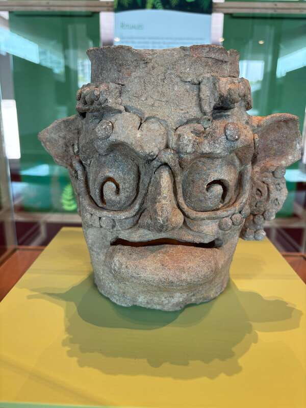 guided-tour-of-the-museum-of-anthropology