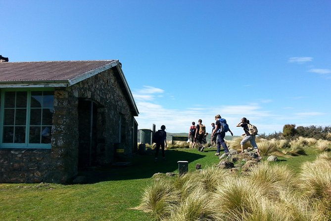 Guided Walk & Scenic Drive from Christchurch- Port Hills & Packhorse Hut - Authentic Traveler Insights