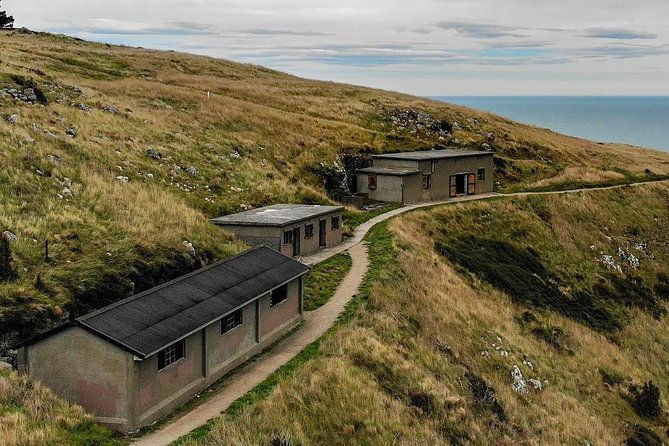 Guided Walking Tour & Scenic Drive - Lyttelton & Godley Head - Authentic Experiences and Authentic Guides