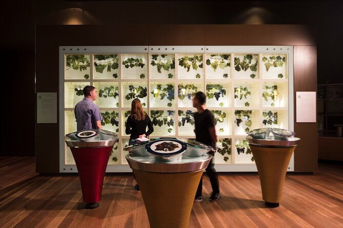 Guided Wine Journey and Discovery Tasting Tour in Adelaide - Final Thoughts: Is It Worth It?
