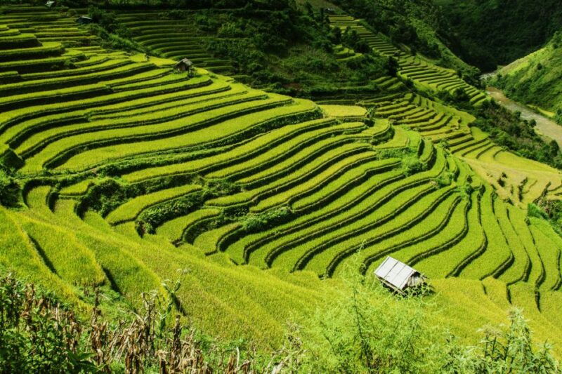 guilin-longji-terraces-private-day-tour