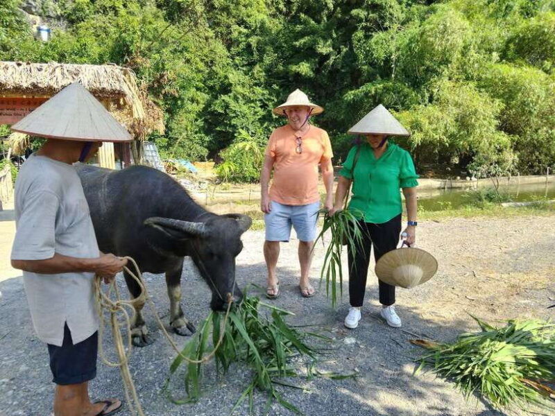 ha-noi-cat-ba-island-ninh-binh-3days-2nights-tour