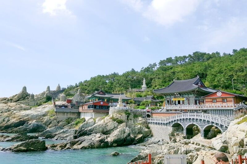 haedong-yonggungsa-temple-camellias-island-more