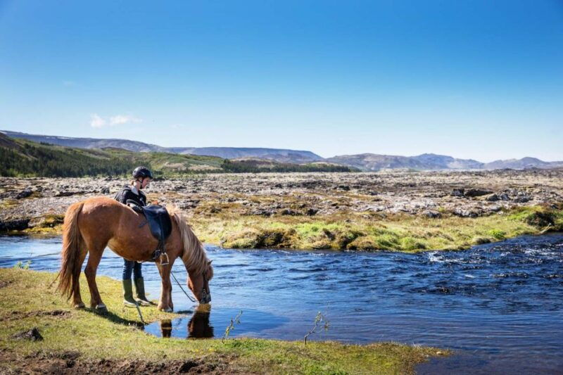 hafnarfjordur-horseback-riding-tour-in-reykjavik-area