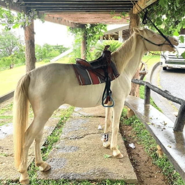 half-day-city-tour-puerto-princesa