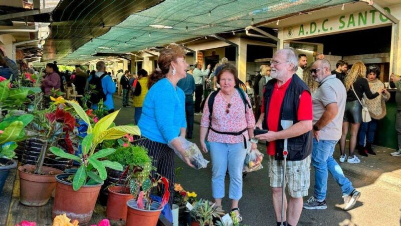 half-day-country-market-tour-on-madeira-island