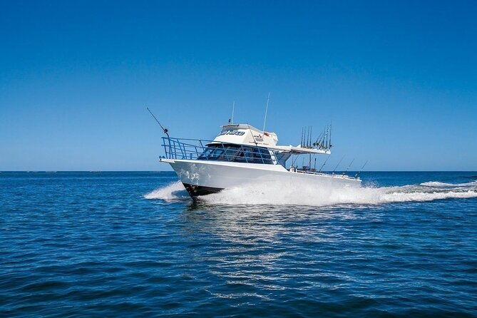 Half-Day Deep Sea Fishing in Wollongong - Weekdays only - Practical Details