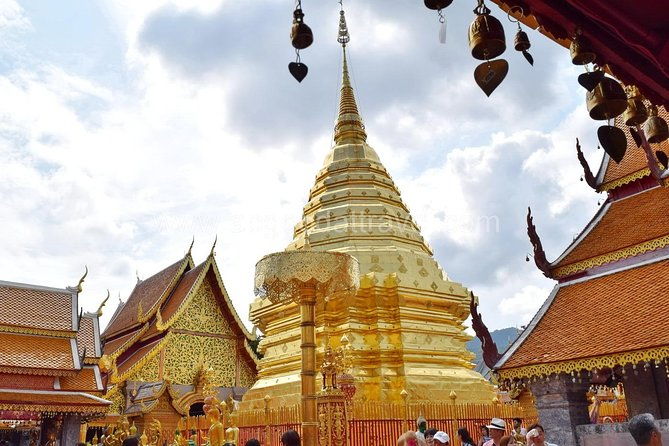 Half Day Doi Suthep Temple and Palad Temple (Private tour) - Overall Value and Who Will Love This Tour