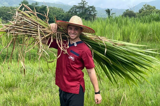 Half-Day Elephant Experience at Rantong - Learning and Making Vitamins  