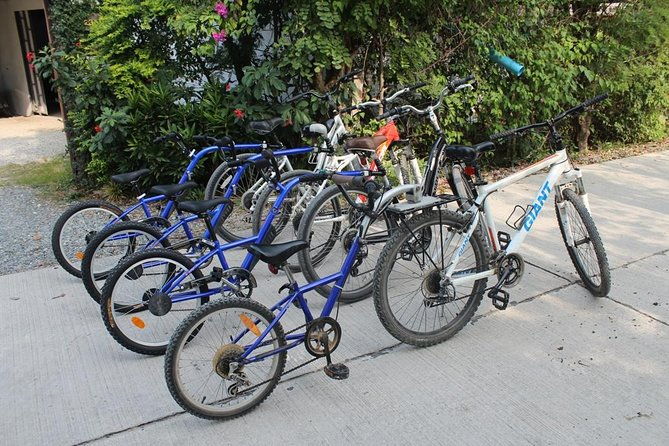 Half-Day Lanna Countryside Cycling Tour in Chiang Mai - FAQ