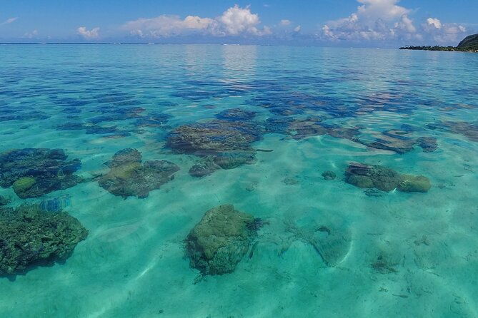 Half Day Private Boat Snorkeling Excursion Moorea - Who Should Book This Tour?