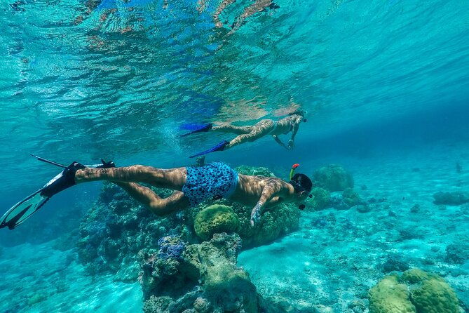 Half-Day Private Luxury Tour from Bora Bora - What Real Travelers Say