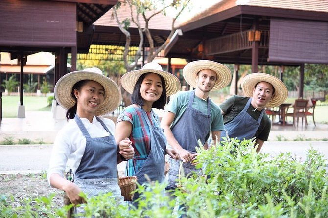 Half Day Thai Cooking Class in Organic Farm - Evening Session - The Value of the Experience