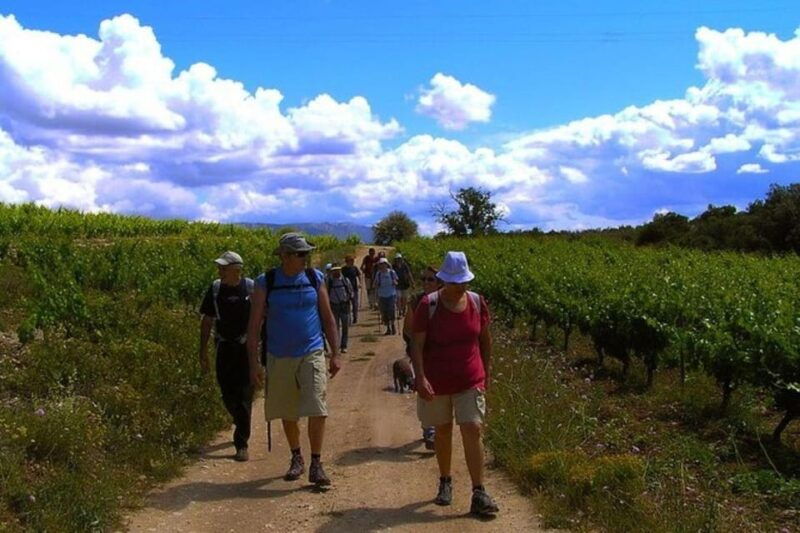 half-day-tour-of-wineries-and-olive-oil-from-mendoza