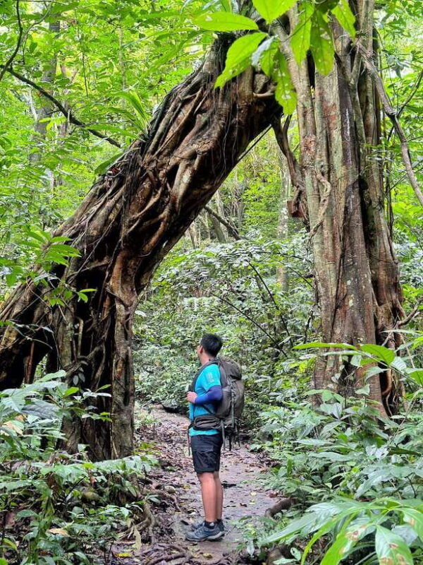 half-day-trekking-cat-ba-national-park