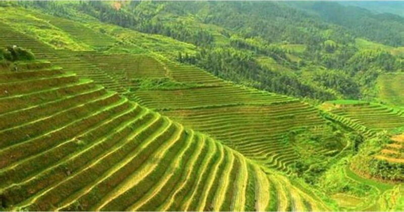 hanoi-sapa-cat-cat-lao-chai-2d1n
