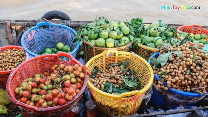 hanoi-sapa-trekking-tour-with-homestay-2d1n
