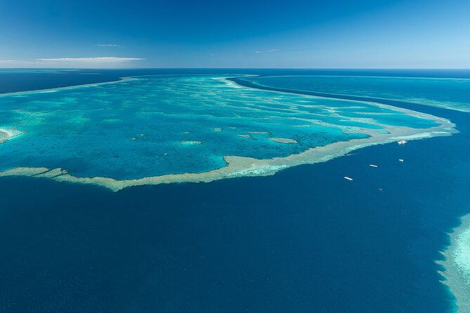Heart Reef & Whitehaven Rest and Relax - 2.5Hr Helicopter Tour - Authentic Insights from Reviewers