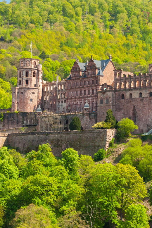 heidelberg-and-rhine-combination-tour-from-frankfurt