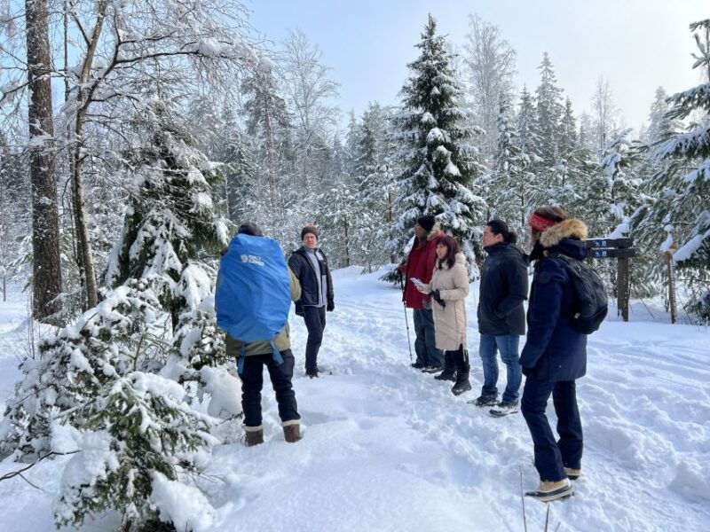helsinki-winter-wonderland-liesjarvi-national-park-hike