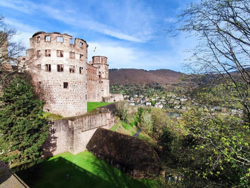 high-lights-of-heidelberg-private-tour-of-castle-and-town