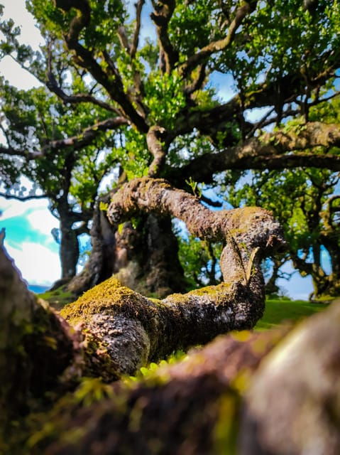 hike-in-fanal-in-a-different-way