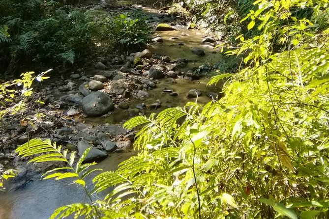 Hiking and Zipline Private Tour from Chiang with Karen Village - Authentic Experiences and What Travelers Say