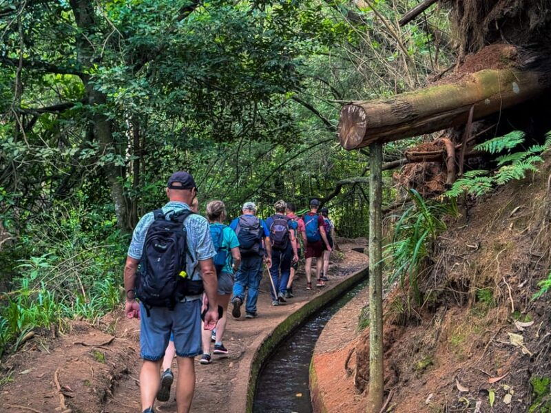hiking-madeira-levada-do-rei-and-the-majestic-laurissilva