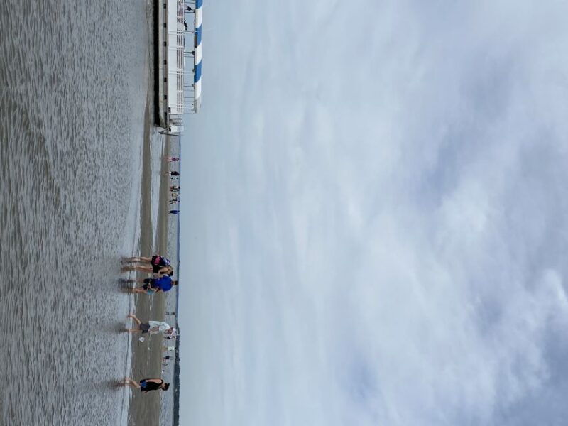 hilton-head-island-disappearing-island-and-dolphin-tour