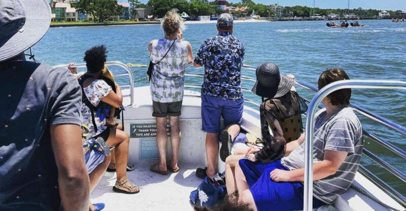 hilton-head-island-dolphin-cruise-nature-tour