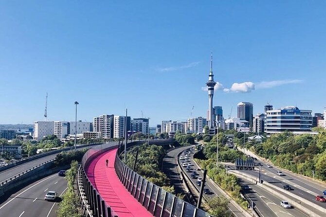 Hire A Driver For 4 Days From Auckland - Why Choose a Private 4-Day Driver Service?  