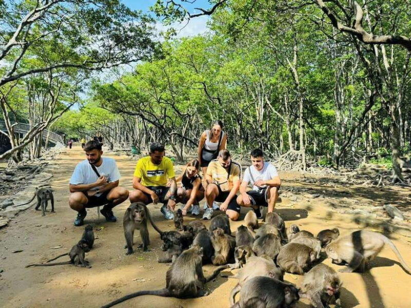 ho-chi-minh-city-can-gio-mangrove-forest-monkey-island