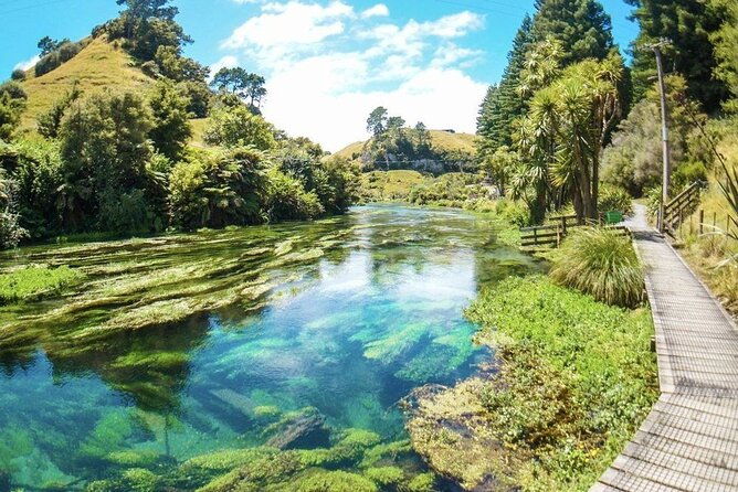Hobbiton Movie Set Tour to Blue Springs and Mineral Spa - Who Should Book This Tour?  