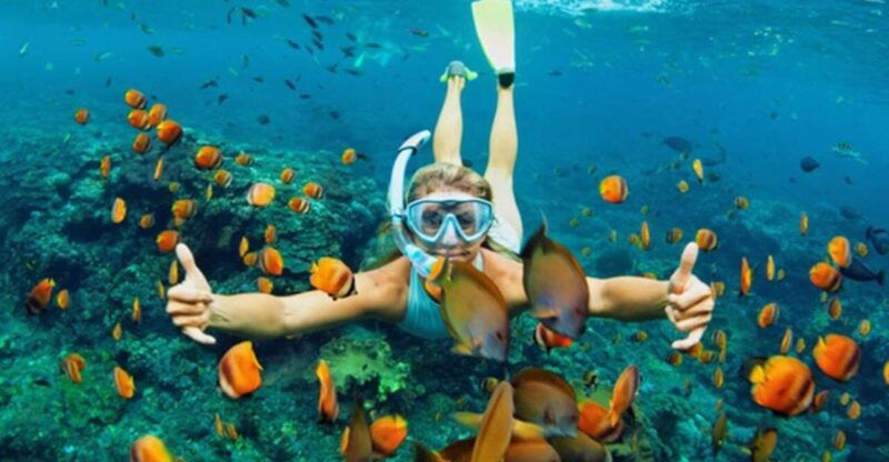 hoi-an-cham-islands-snorkeling-trip-by-speedboat-with-lunch