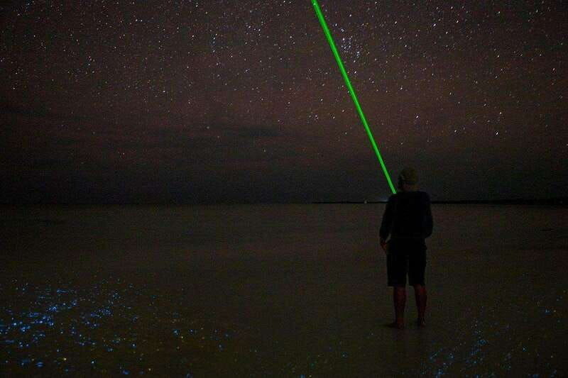 holbox-guided-bioluminescence-kayaking-tour