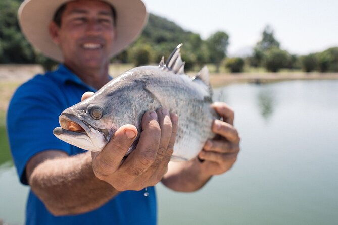 Hook-a-Barra Gourmet Farm Tour - Pricing and Value