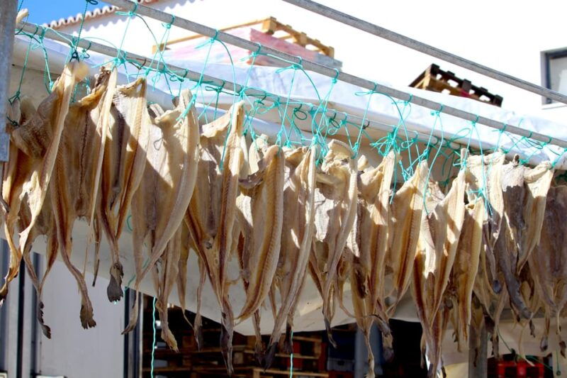 hooked-on-sesimbra-2