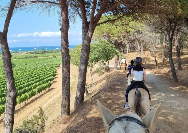 horse-back-riding-wine-tasting-in-ramatuelle
