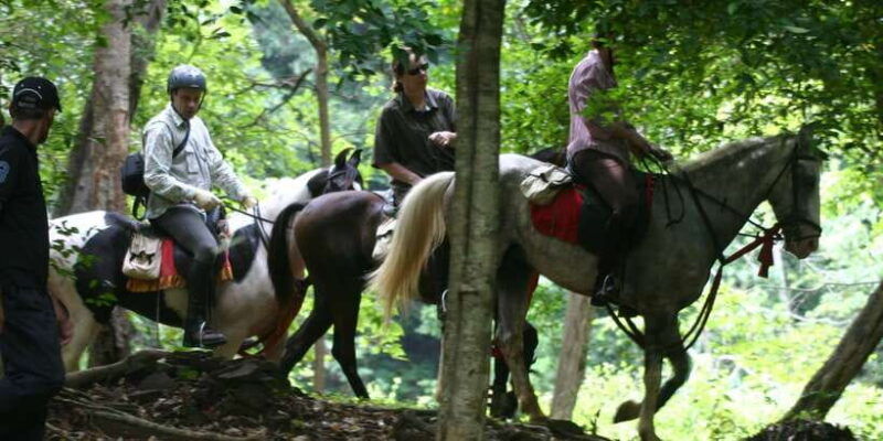 horse-riding-in-nuwara-eliya