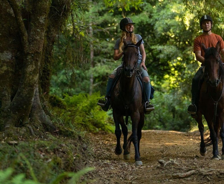 horse-riding-tour-with-hotel-transfers