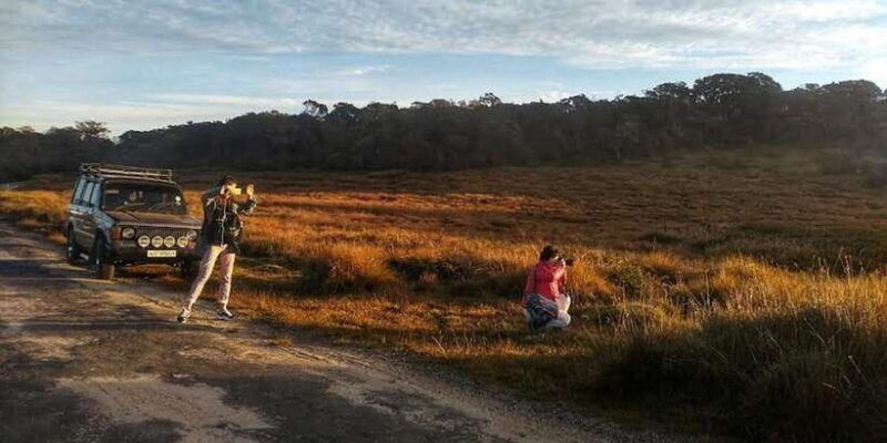 horton-plains-discover-real-essence-of-central-highland