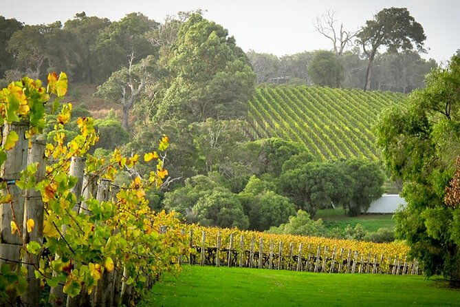 Houghton Icons Wine Flight and Regional Platter Package - Final Thoughts