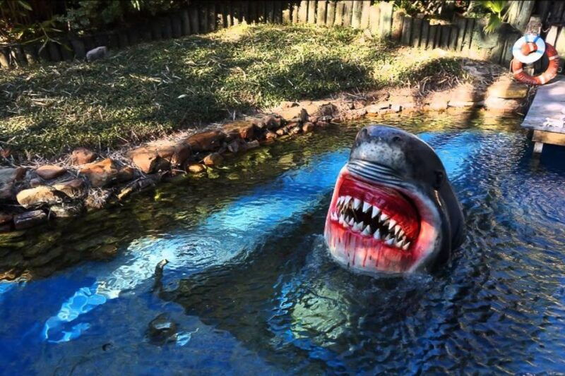 houston-tour-and-aquarium-ticket