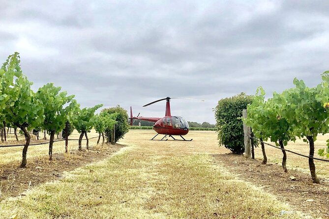 Hunter Valley Helicopter Tour with a Bubbly Breakfast - Practical Tips for Travelers