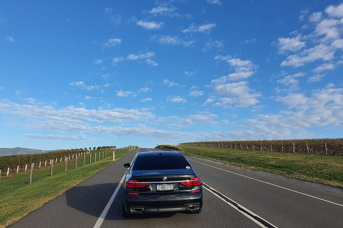Hunter Valley Wine Country Luxury Tour from Sydney - What Makes This Tour Stand Out?