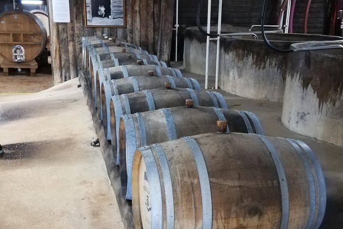 Hunter Valley Wine & Wildlife Tour (Private Tour from Sydney) - Tasting Local Delights: Cheese & Chocolate
