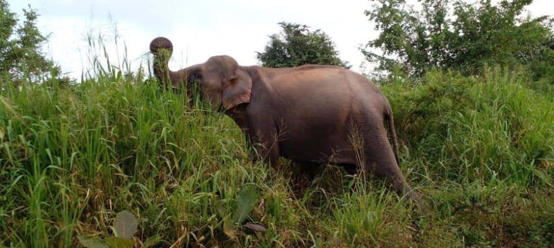 hurulu-eco-park-safari