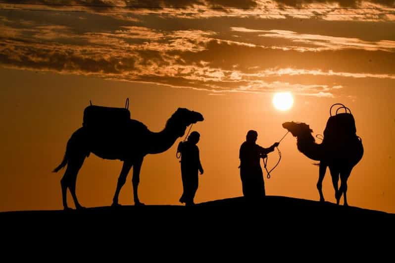 ica-huacachina-camel-ride-in-the-peruvian-desert
